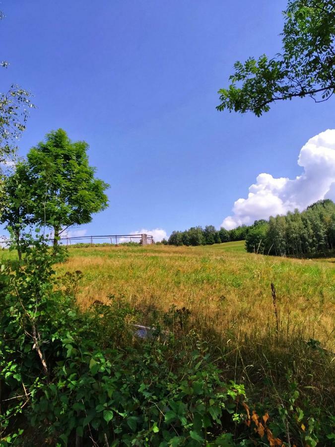 Noclegi Przy Szlaku Agroturystyka Zabnica 外观 照片