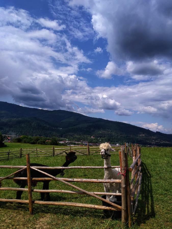 Noclegi Przy Szlaku Agroturystyka Zabnica 外观 照片