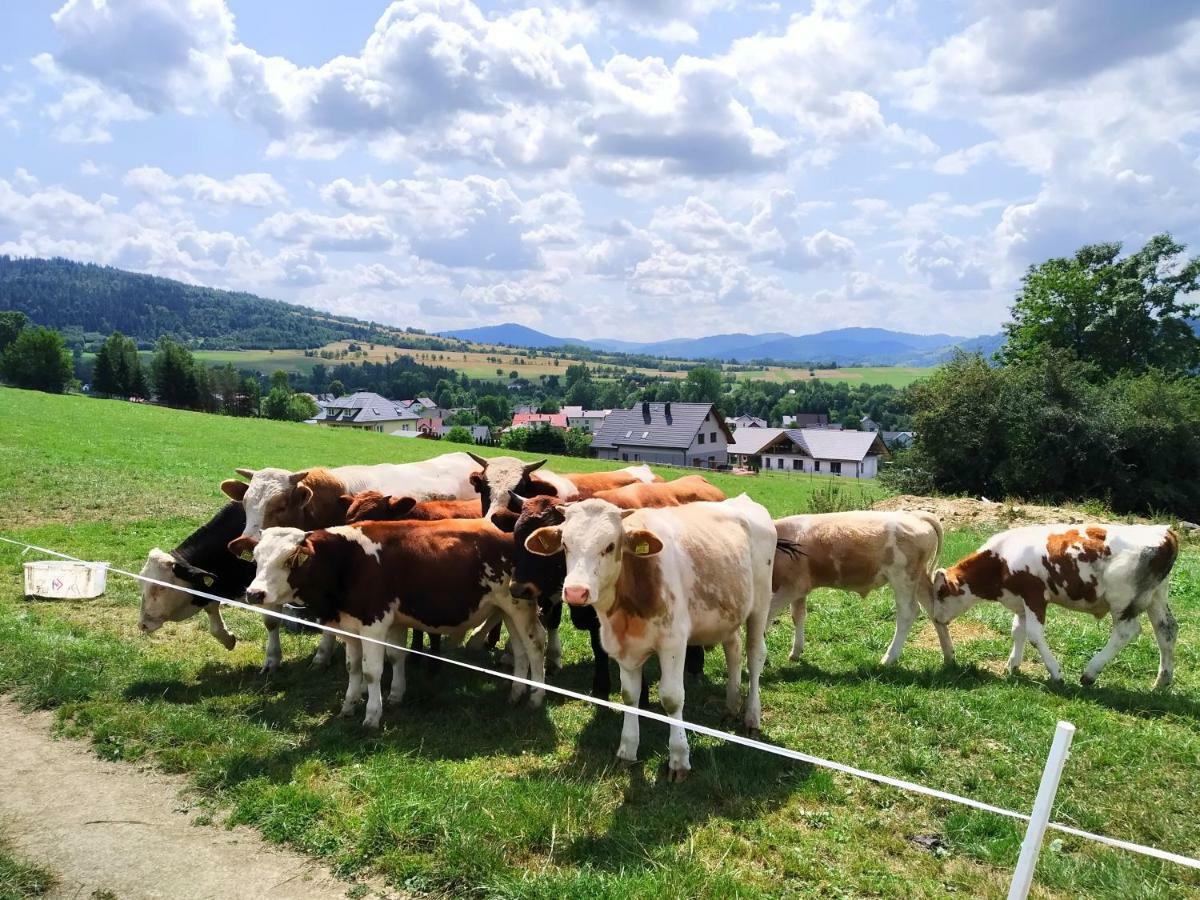 Noclegi Przy Szlaku Agroturystyka Zabnica 外观 照片
