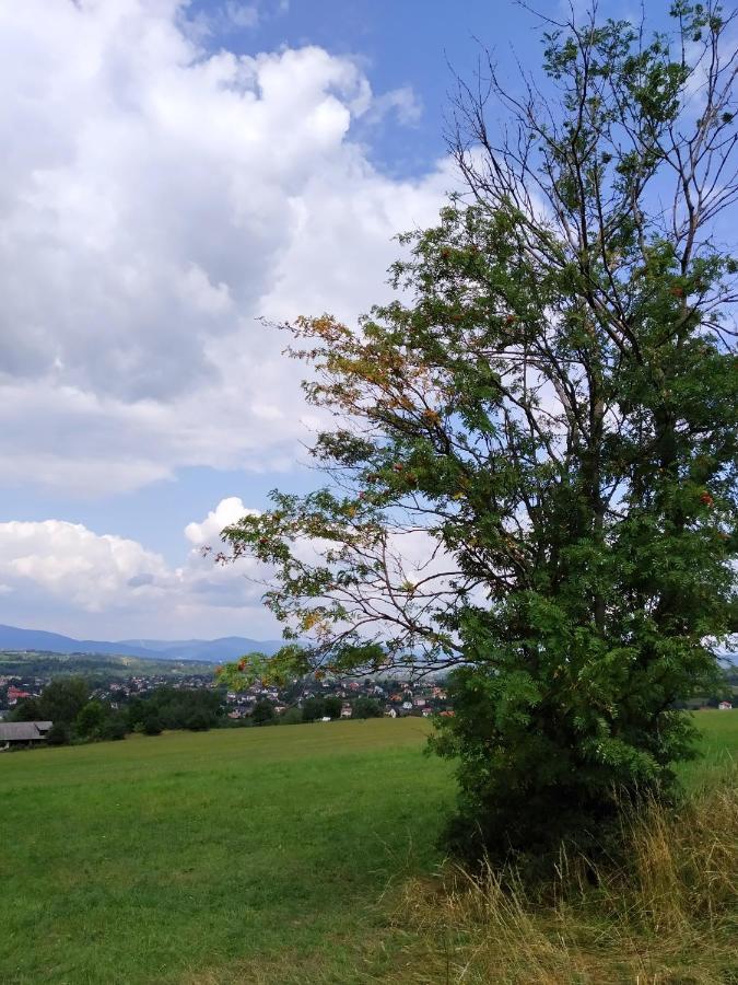 Noclegi Przy Szlaku Agroturystyka Zabnica 外观 照片